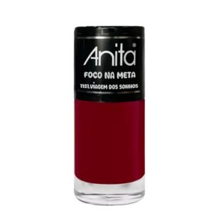 ANITA ESM FOCO NA META VIAGEM DOS SONHOS 10ML