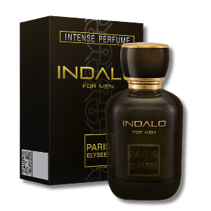 PARIS ELYSEES PERF EDT MEN INDALO 100ML